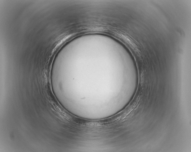 X0000115801212200912041526