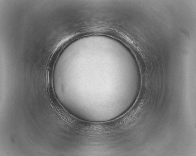 X0000115801214200912041526