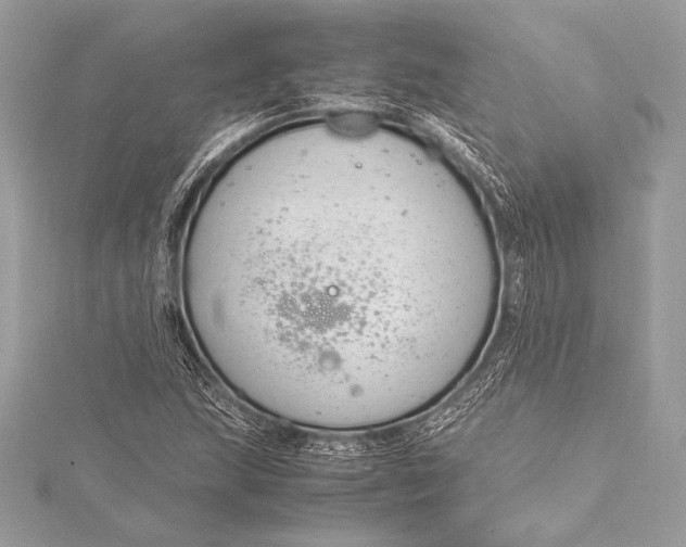 X0000115801215200912041526