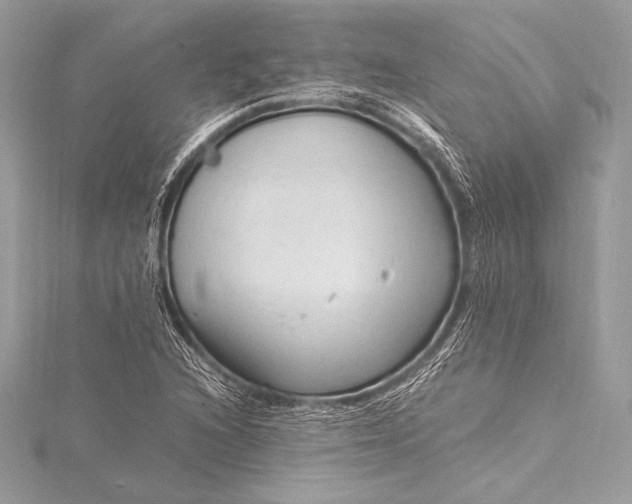 X0000115801216200912041526