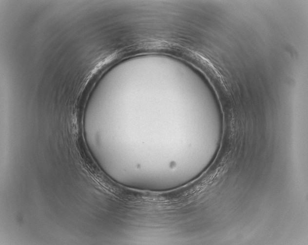 X0000115801218200912041526