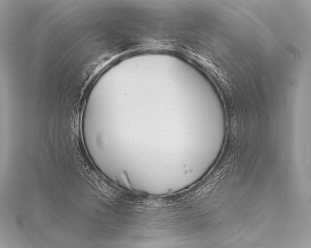 X0000115801220200912041526