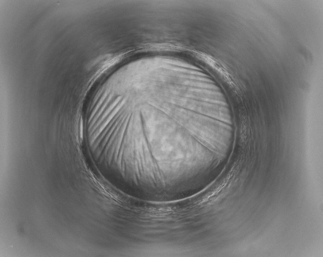 X0000115801221200912041527