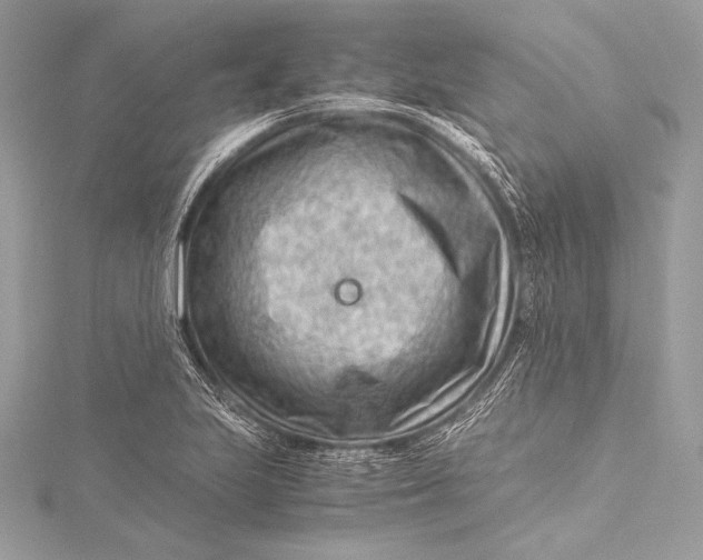 X0000115801223200912041527