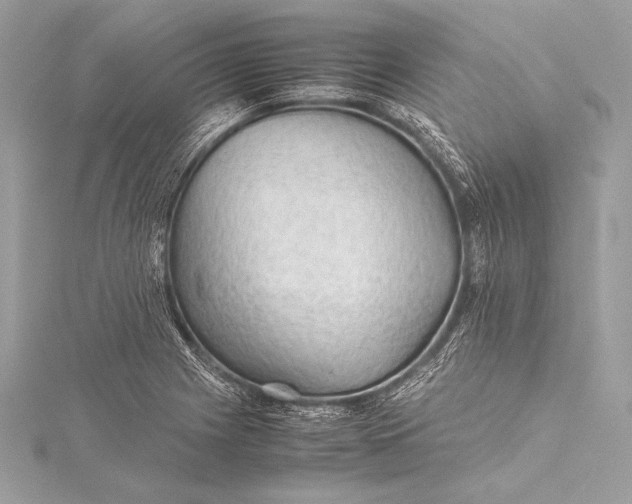 X0000115801225200912041527