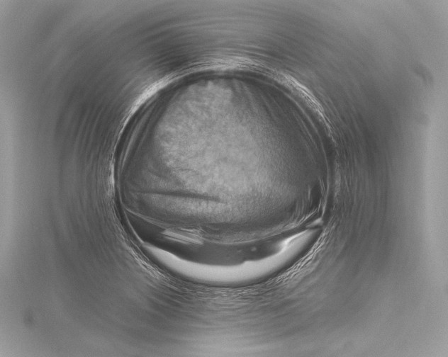 X0000115801226200912041527