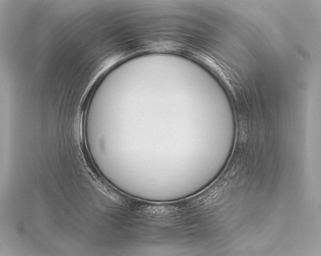 X0000115801227200912041527