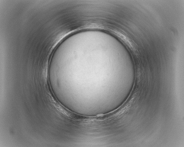 X0000115801228200912041527