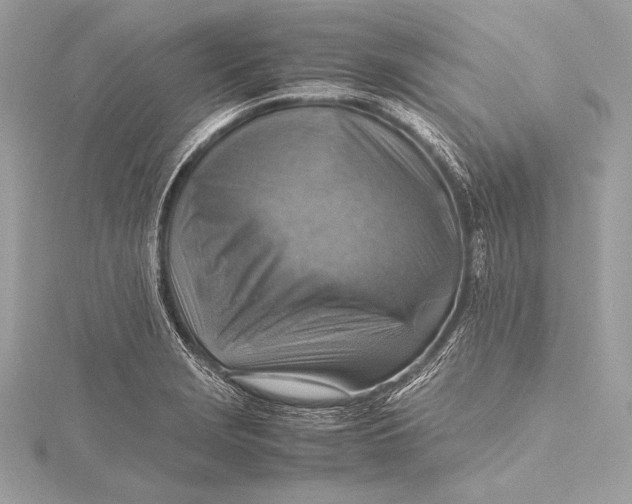 X0000115801229200912041527