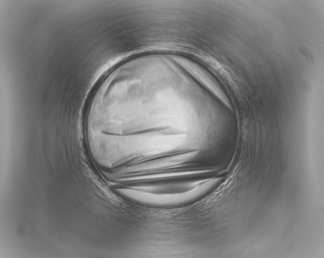 X0000115801230200912041527