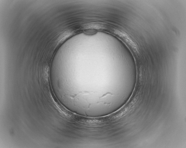 X0000115801233200912041527