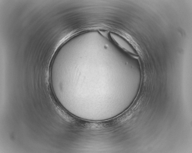 X0000115801234200912041527