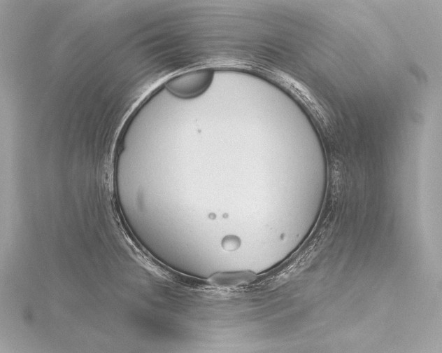 X0000115801236200912041527