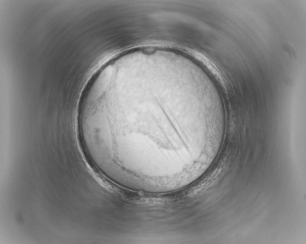 X0000115801237200912041527