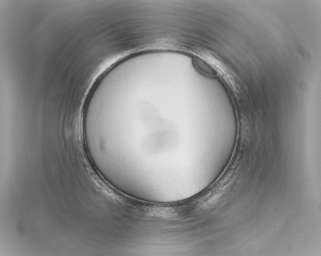 X0000115801238200912041527