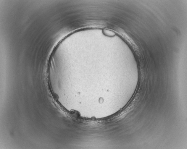 X0000115801240200912041527