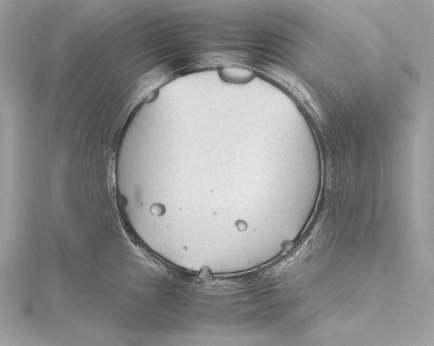 X0000115801241200912041527