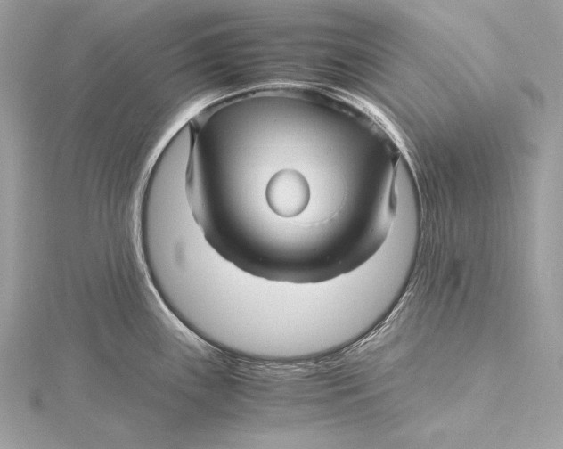 X0000115801243200912041527