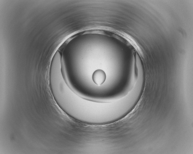 X0000115801244200912041527