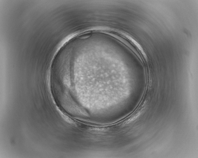 X0000115801245200912041527