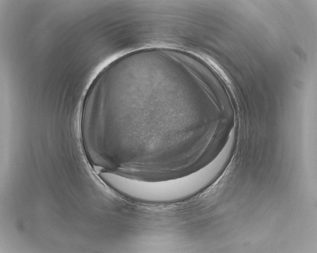 X0000115801246200912041527