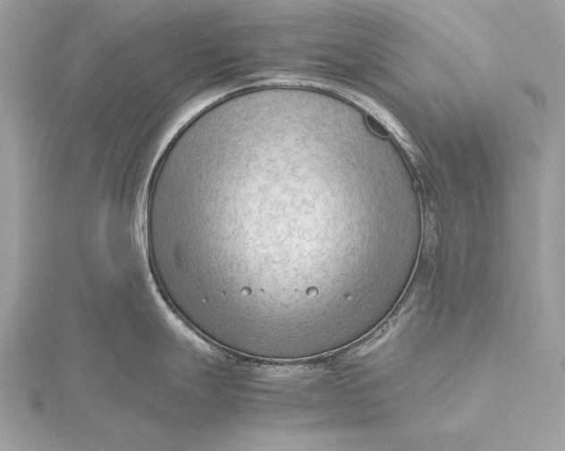 X0000115801247200912041527