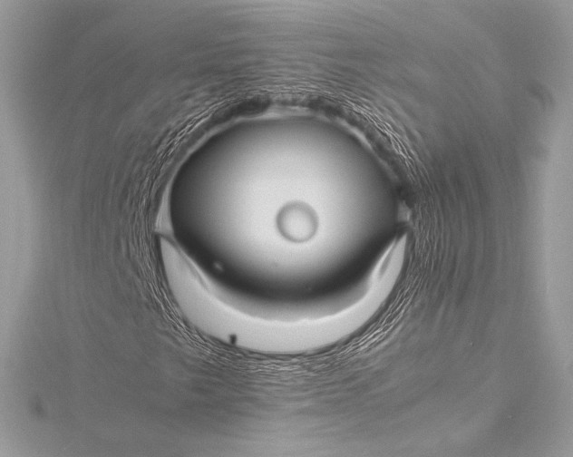 X0000115801249200912041526