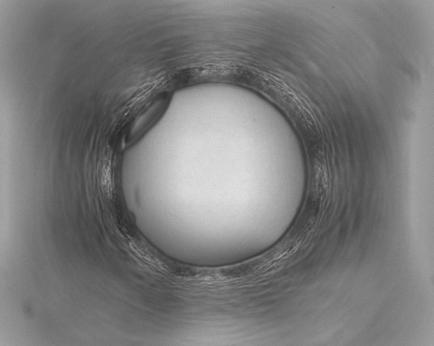 X0000115801250200912041526