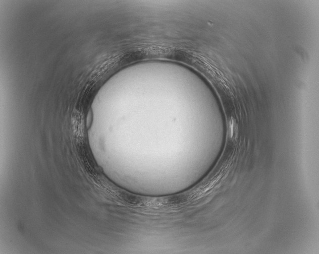 X0000115801251200912041526