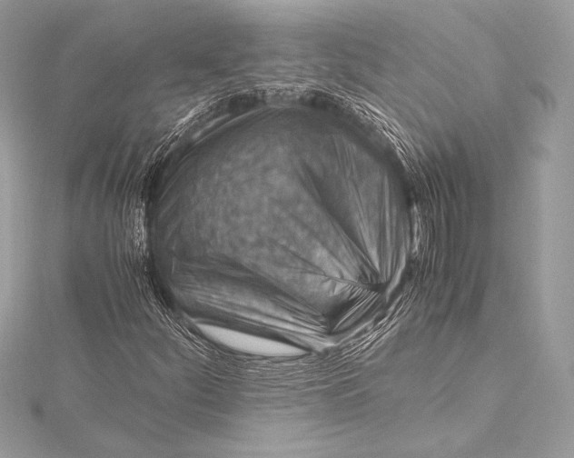 X0000115801252200912041526