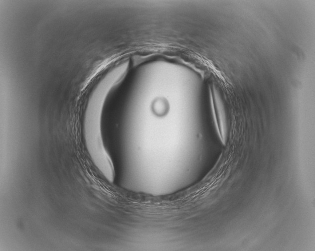 X0000115801256200912041526