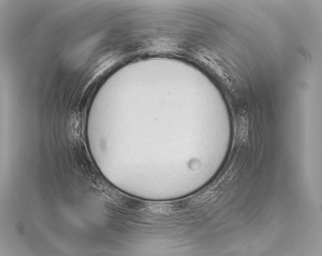 X0000115801258200912041526