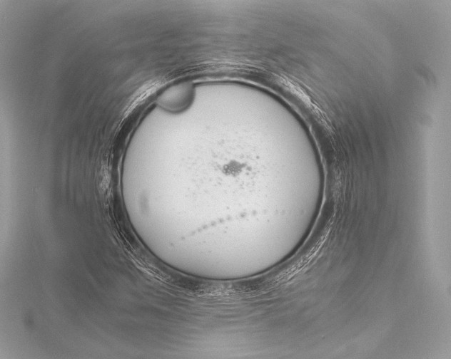 X0000115801259200912041526