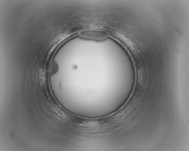 X0000115801260200912041526