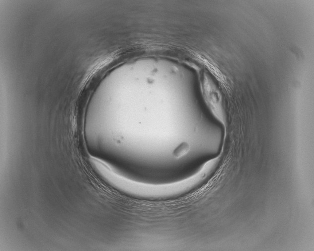 X0000115801261200912041526