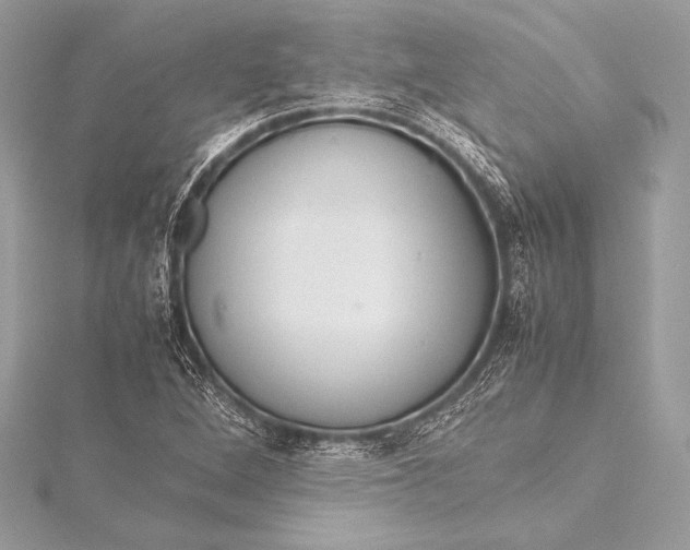 X0000115801264200912041526