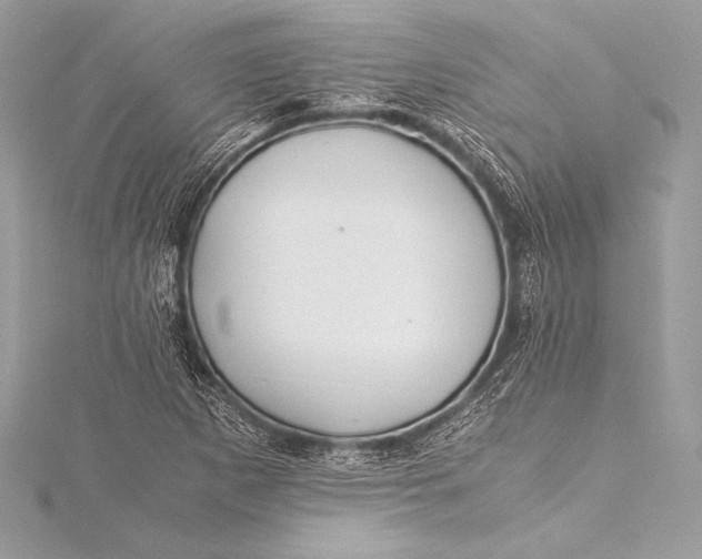 X0000115801265200912041526