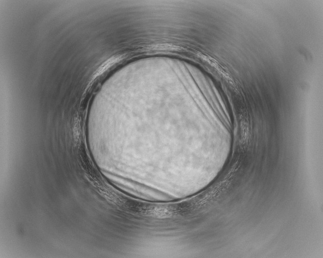 X0000115801266200912041526