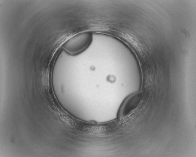 X0000115801268200912041526