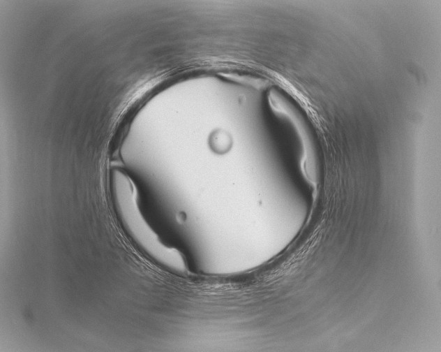 X0000115801269200912041526