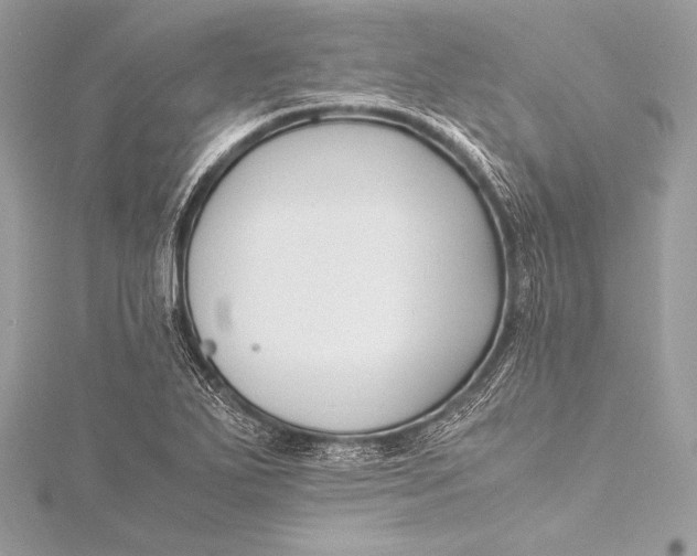 X0000115801271200912041526