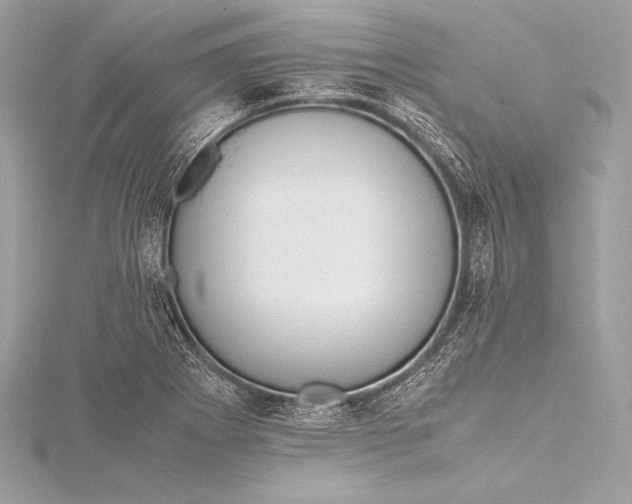 X0000115801273200912041526