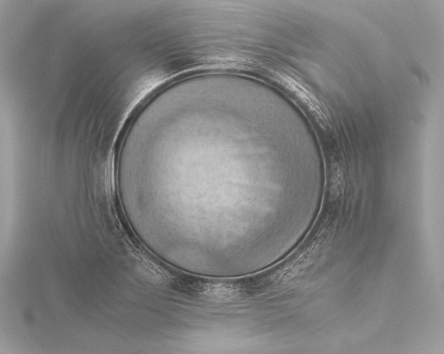 X0000115801275200912041526