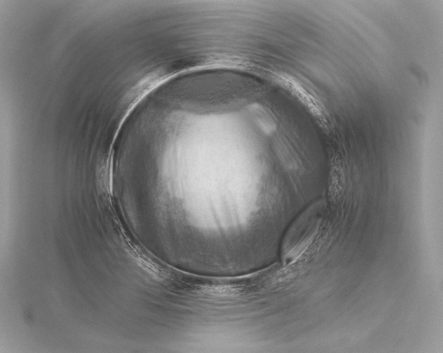 X0000115801276200912041526