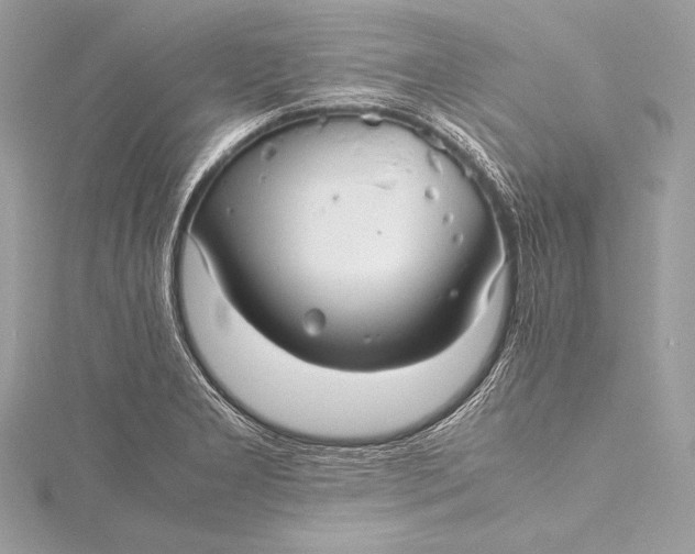 X0000115801277200912041526