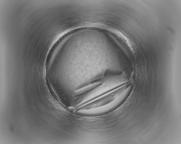 X0000115801280200912041526