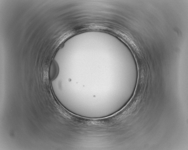 X0000115801281200912041526