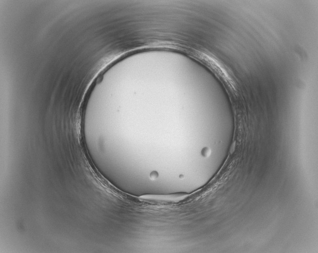 X0000115801284200912041526