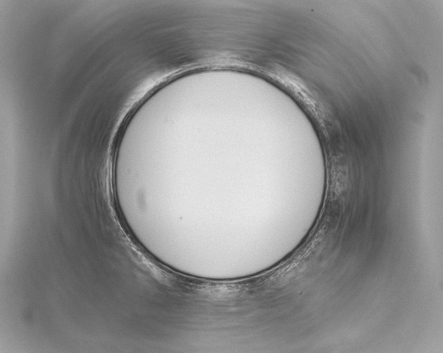 X0000115801286200912041526