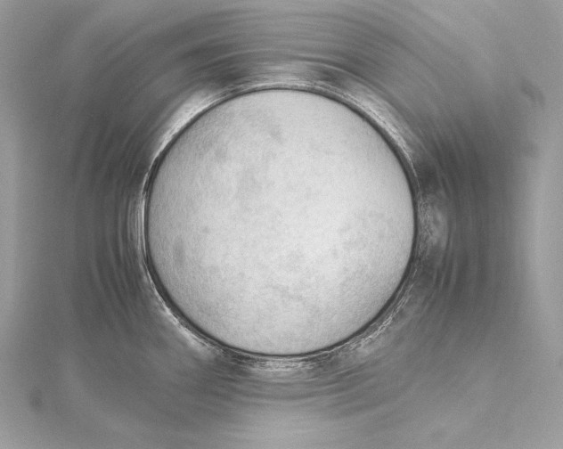 X0000115801290200912041526